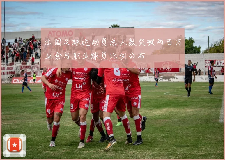 法国足球运动员总人数突破两百万业余与职业球员比例公布