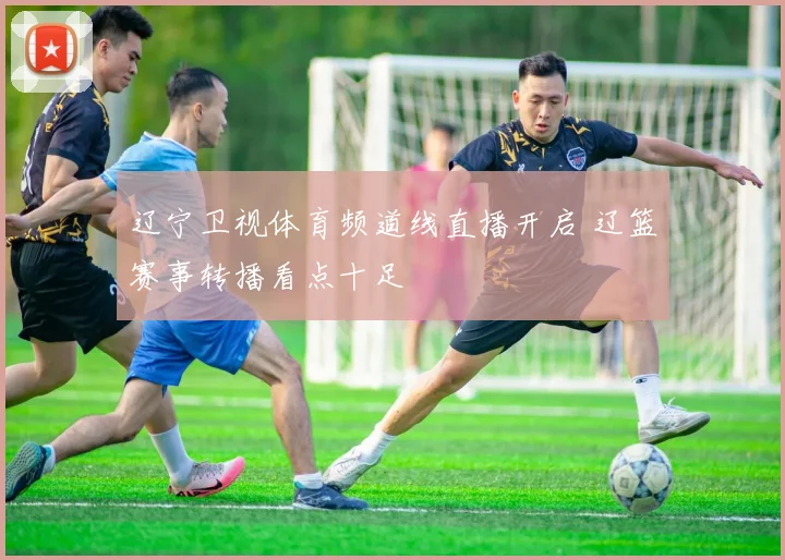 辽宁卫视体育频道线直播开启 辽篮赛事转播看点十足