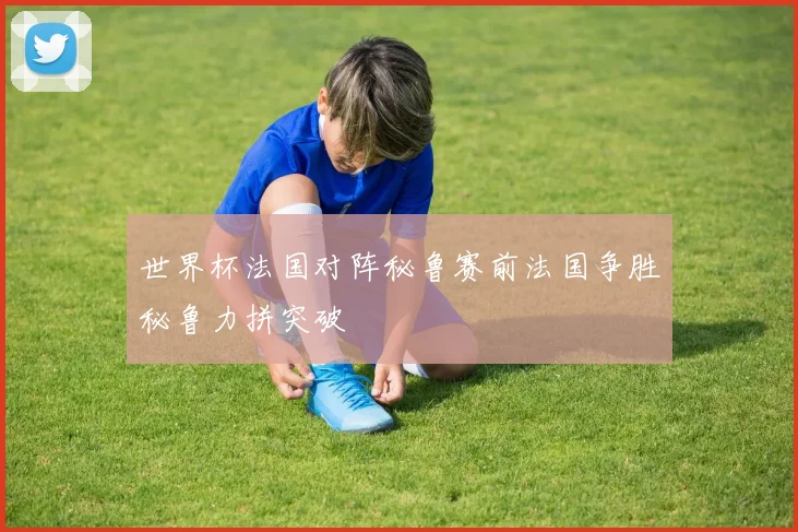 世界杯法国对阵秘鲁赛前法国争胜秘鲁力拼突破